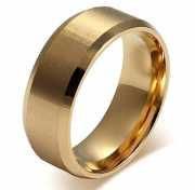 Elegant Stainless Steel Silver Plated Ring for Men & Boys